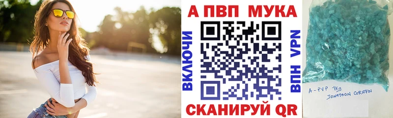 APVP СК Ардатов