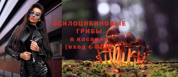 спиды Алексеевка