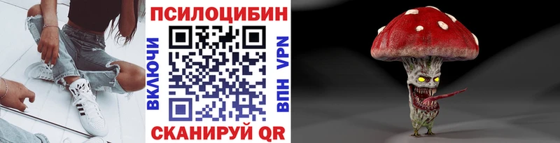 купить наркотик Ардатов Псилоцибиновые грибы ЛСД